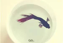 哪些神句拯救了你的英文邮件?-九九译