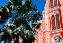 越南语中文翻译哪家好 越南语中文翻译哪家正规-九九译