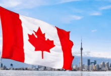 加拿大签证文件可以自己翻译吗 加拿大签证材料需要翻译吗-九九译