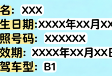 驾照翻译西班牙语要求是什么 驾照翻译西班牙语要求高吗-九九译