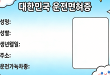 中国驾照翻译韩国可以用吗 中国驾照翻译韩国有什么要求-九九译