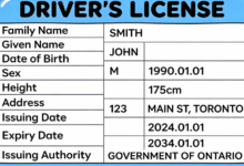 中国驾照翻译加拿大可以用吗 中国驾照翻译加拿大认可吗-九九译