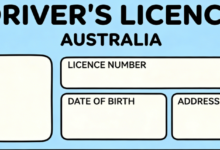 中国驾照翻译澳大利亚能用吗 中国驾照翻译澳大利亚需要什么条件-九九译