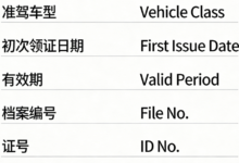 中国驾照翻译件怎么办理 驾照翻译件办理方法-九九译