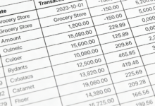 银行流水翻译网站哪家好 银行流水翻译网站九九译怎么样-九九译