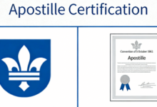 海牙认证翻译中文怎么弄 海牙认证翻译中文九九译怎么样-九九译