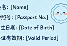 签证翻译件可以自己翻译吗 签证翻译九九译好吗-九九译