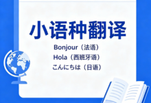 小语种技术翻译 九九译工业设备专业译制-九九译