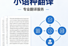 精准德语个人简历翻译 职场留学文书专业润色-九九译